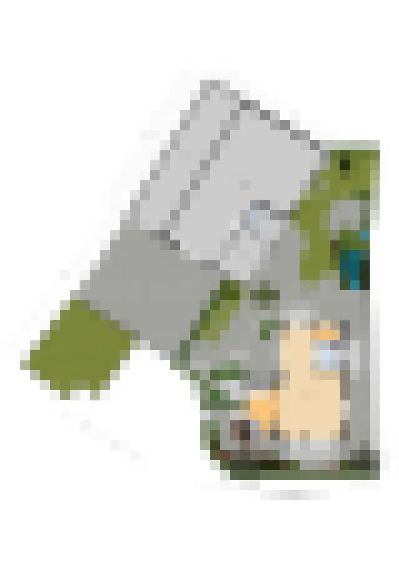 Keizer 40 Wijk bij Duurstede thumbnail 74