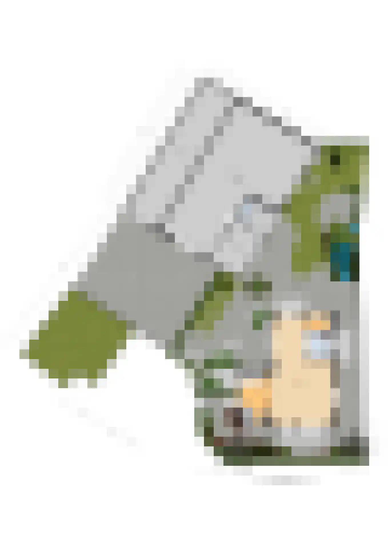 Keizer 40 Wijk bij Duurstede thumbnail 8