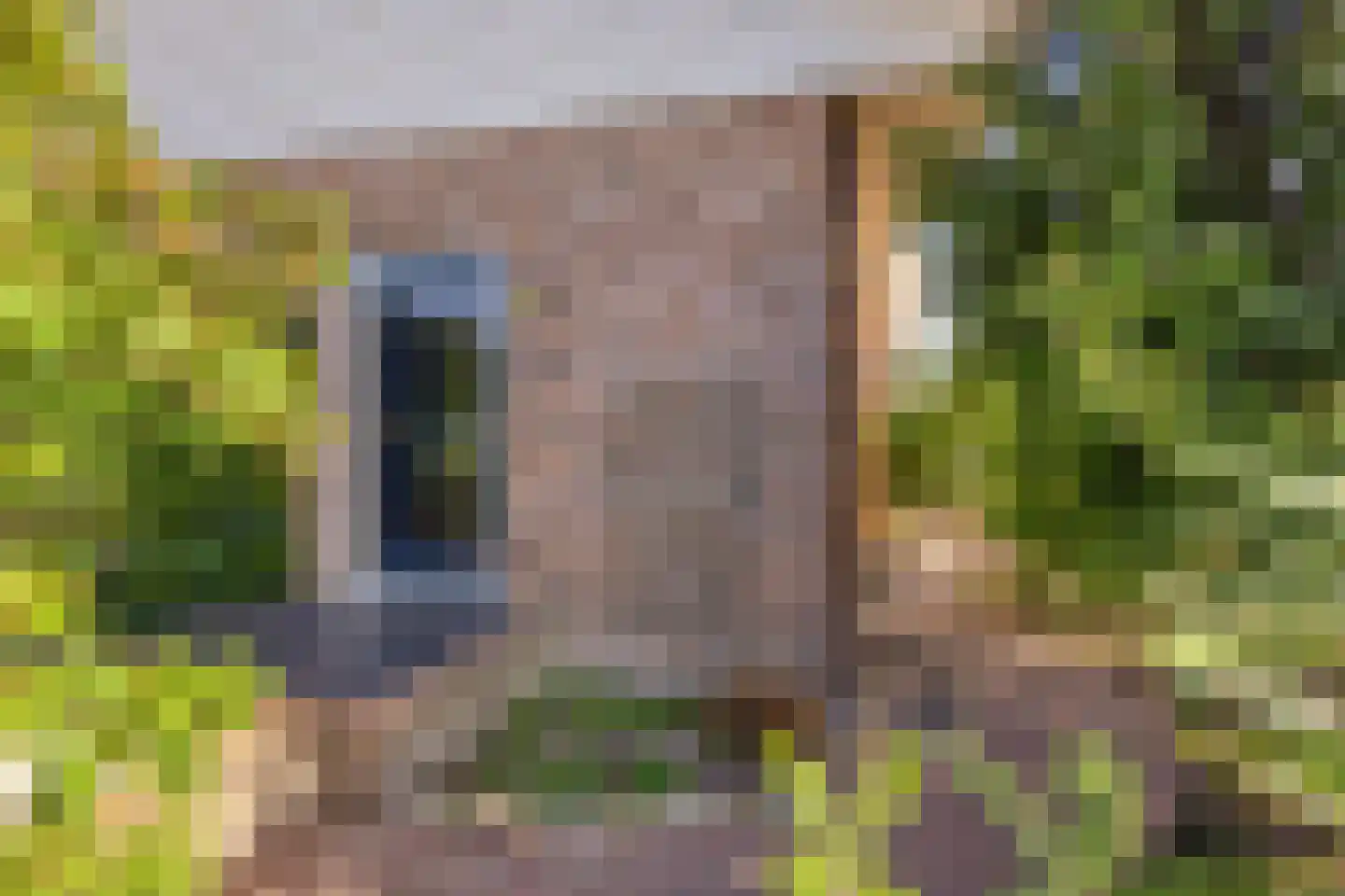 Keizer 40 Wijk bij Duurstede thumbnail 9