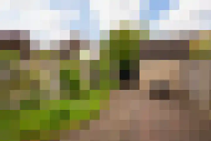 Keizer 7 Wijk bij Duurstede thumbnail 15