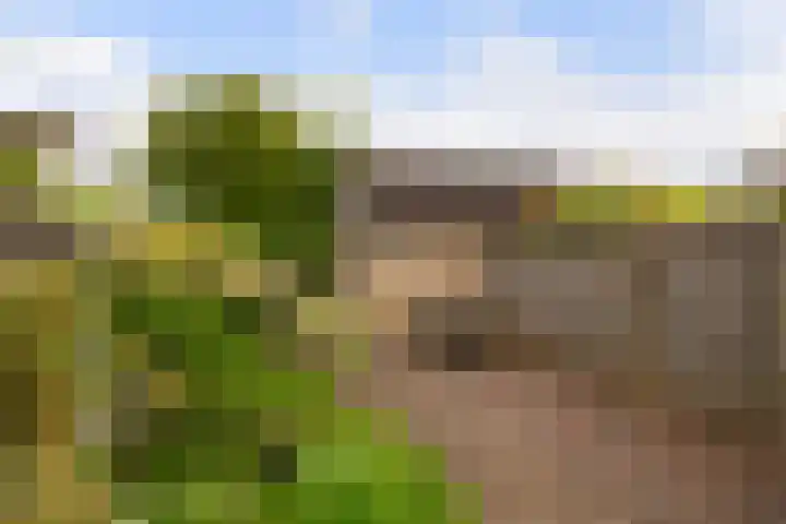 Keizer 7 Wijk bij Duurstede thumbnail 16