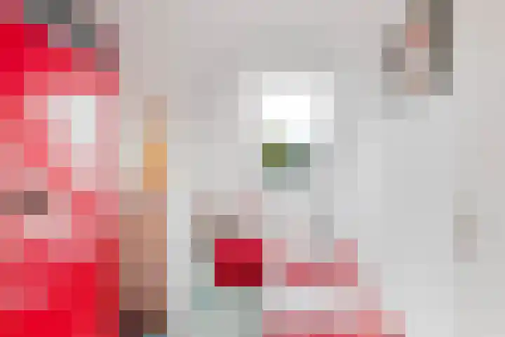Keizer 7 Wijk bij Duurstede thumbnail 22