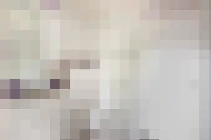 Keizer 7 Wijk bij Duurstede thumbnail 24