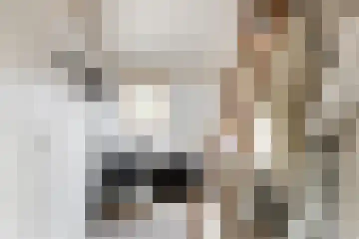 Keizer 7 Wijk bij Duurstede thumbnail 29