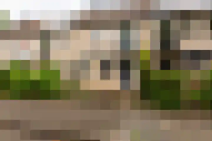 Keizer 7 Wijk bij Duurstede thumbnail 32