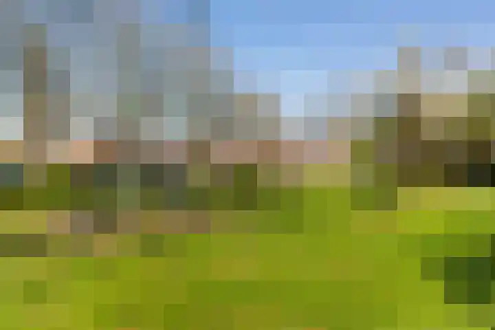 Keizer 7 Wijk bij Duurstede thumbnail 33
