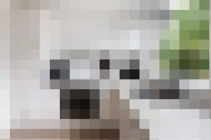 Keizer 7 Wijk bij Duurstede thumbnail 7