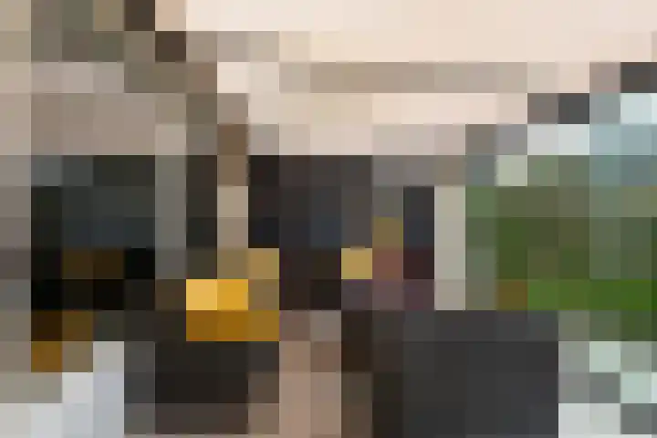 Keizer 7 Wijk bij Duurstede thumbnail 9
