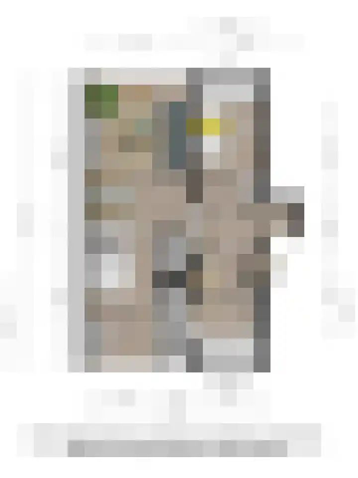 Keizer Frederikstraat 51 Deventer thumbnail 31