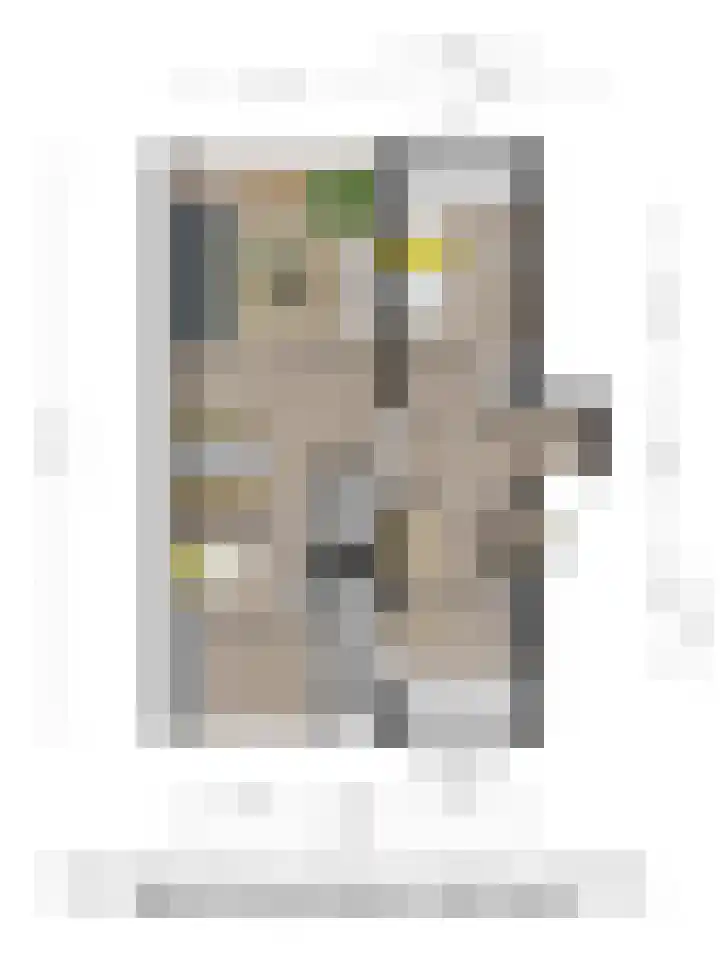 Keizer Frederikstraat 97 Deventer thumbnail 37