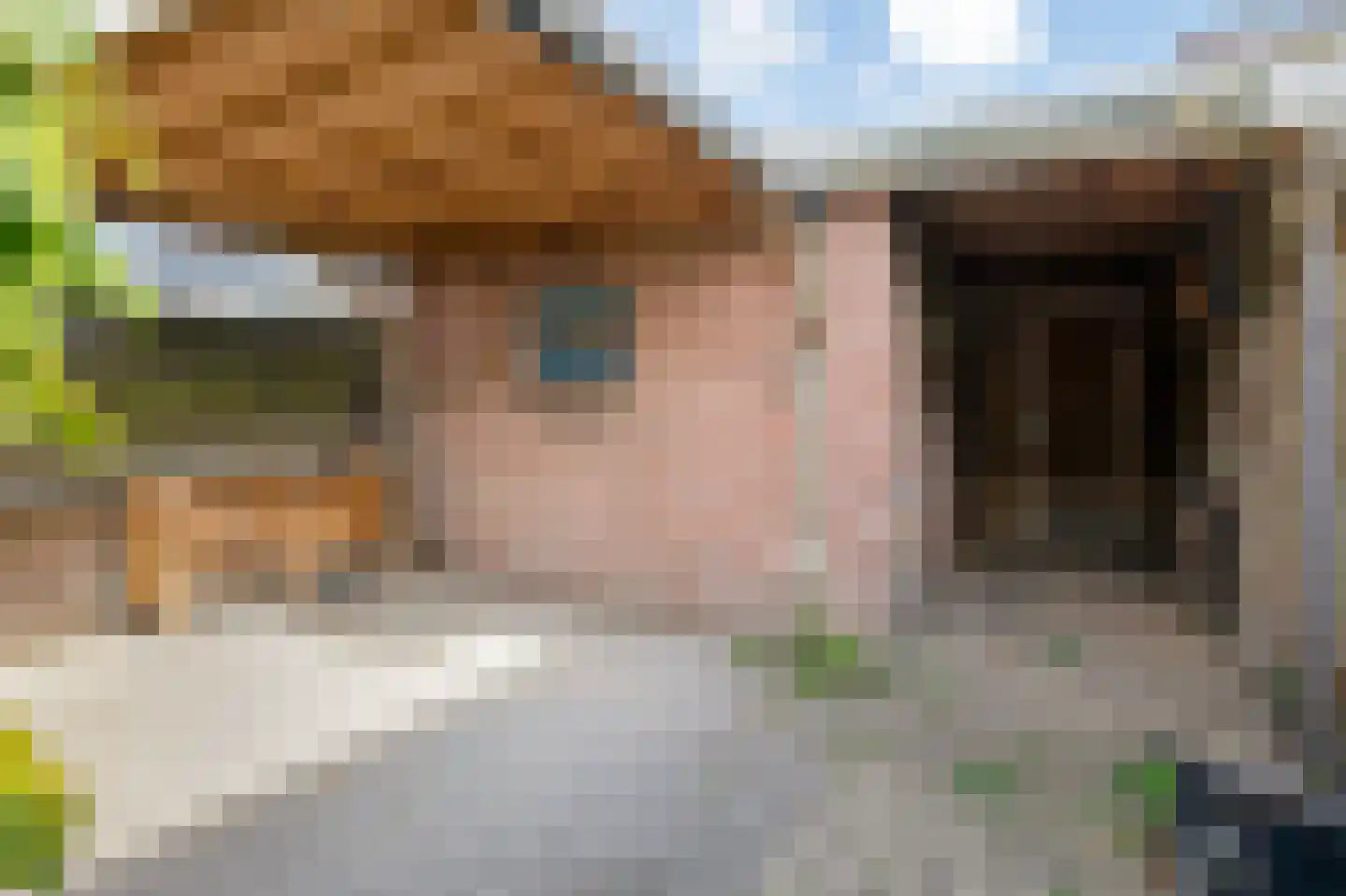 Keizer Hendrikstraat 20 Zevenaar thumbnail 47