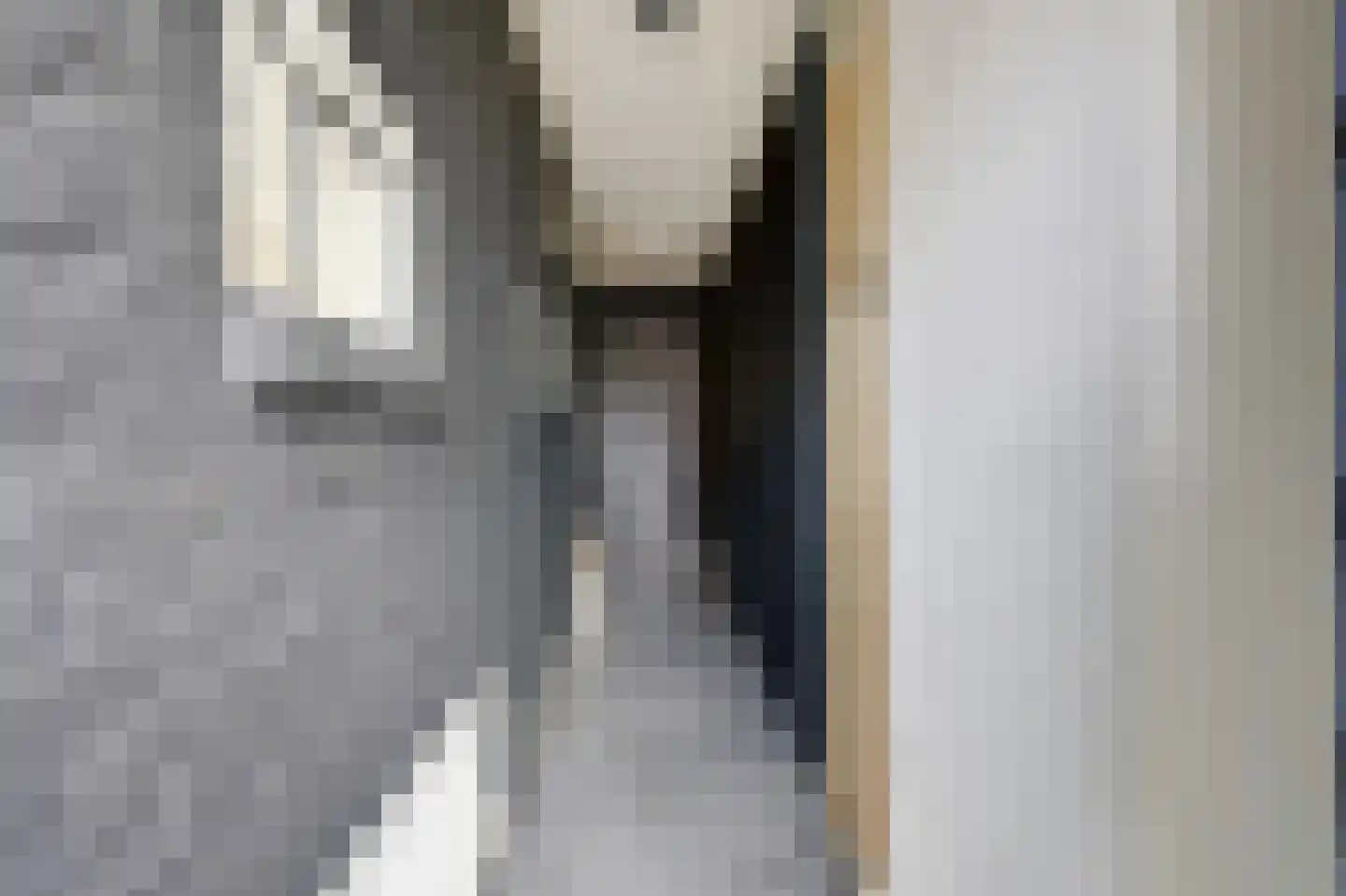 Keizer Hendrikstraat 20 Zevenaar thumbnail 9
