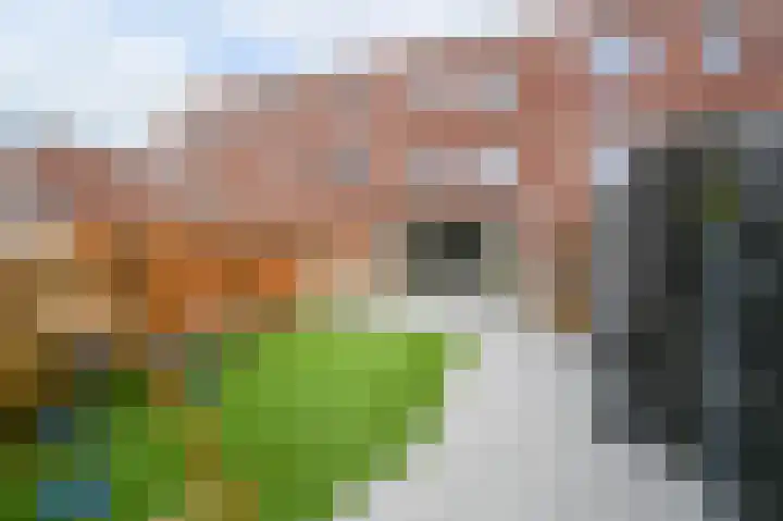 Keizer Karel V Park 10 Den Haag thumbnail 20