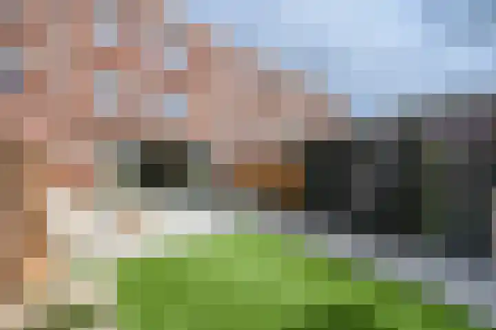 Keizer Karel V Park 10 Den Haag thumbnail 21