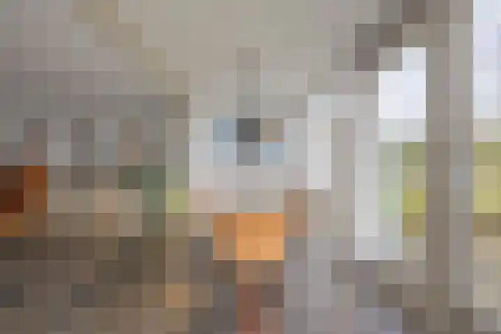 Keizer Karelhof 17 Vlissingen thumbnail 20