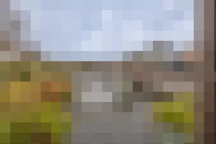Keizer Karelhof 17 Vlissingen thumbnail 30