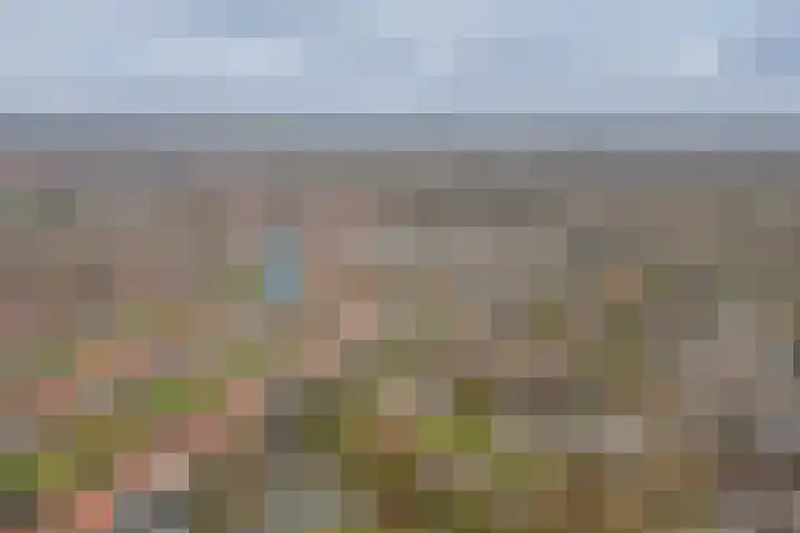 Keizer Karelhof 17 Vlissingen thumbnail 4