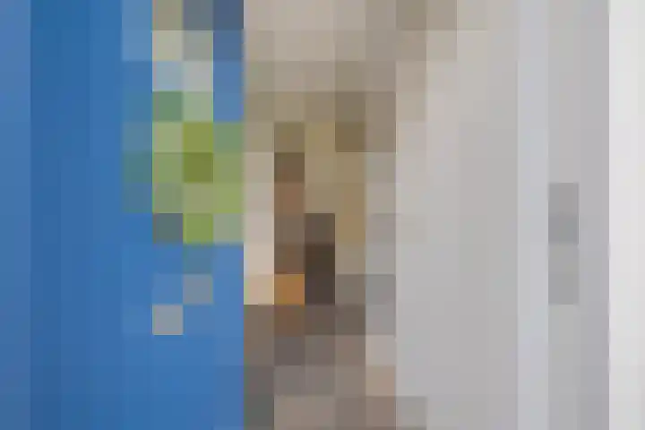 Keizer Karelhof 17 Vlissingen thumbnail 8