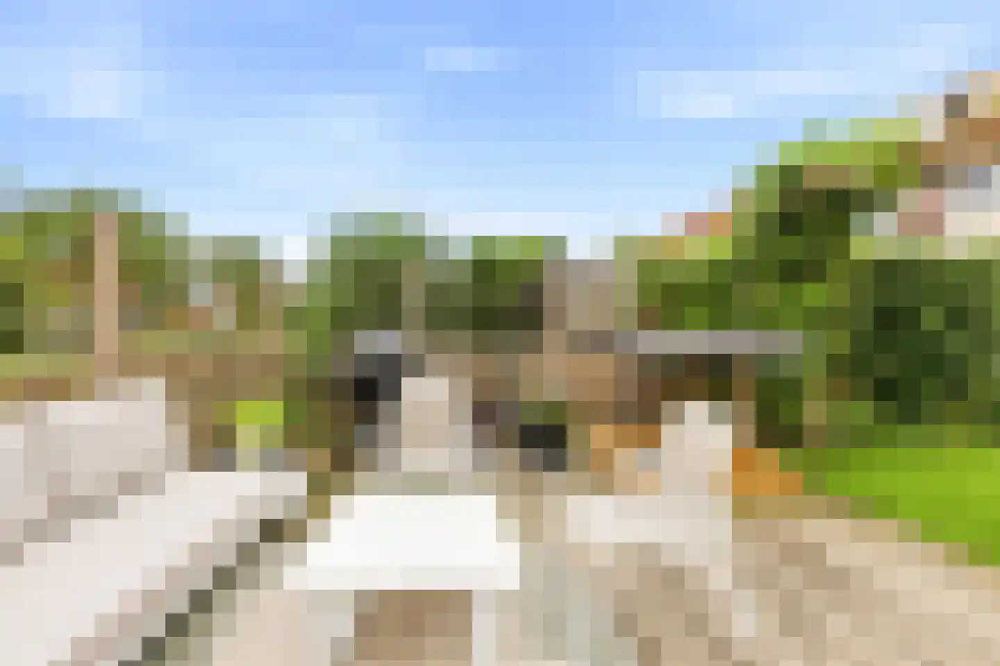 Keizer Karelhof 29 Vlissingen thumbnail 27