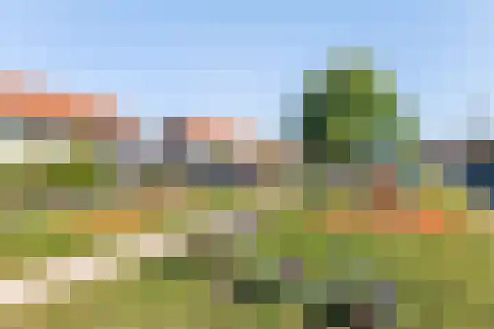 Keizer Karelhof 36 Vlissingen thumbnail 7