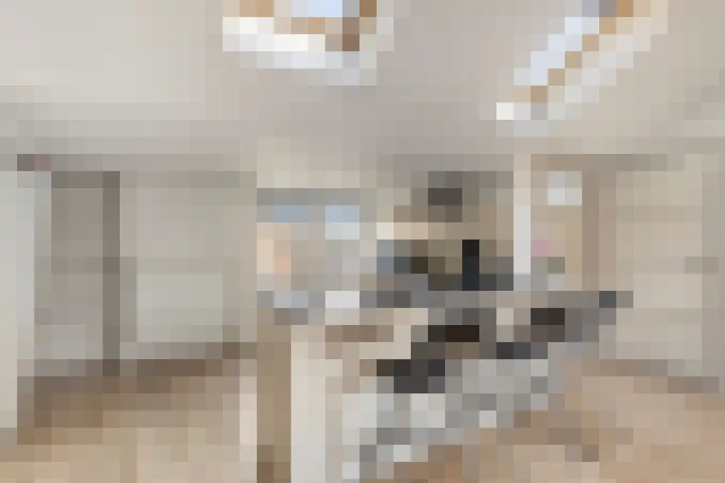 Keizer Karelplein 12 D Maastricht thumbnail 8