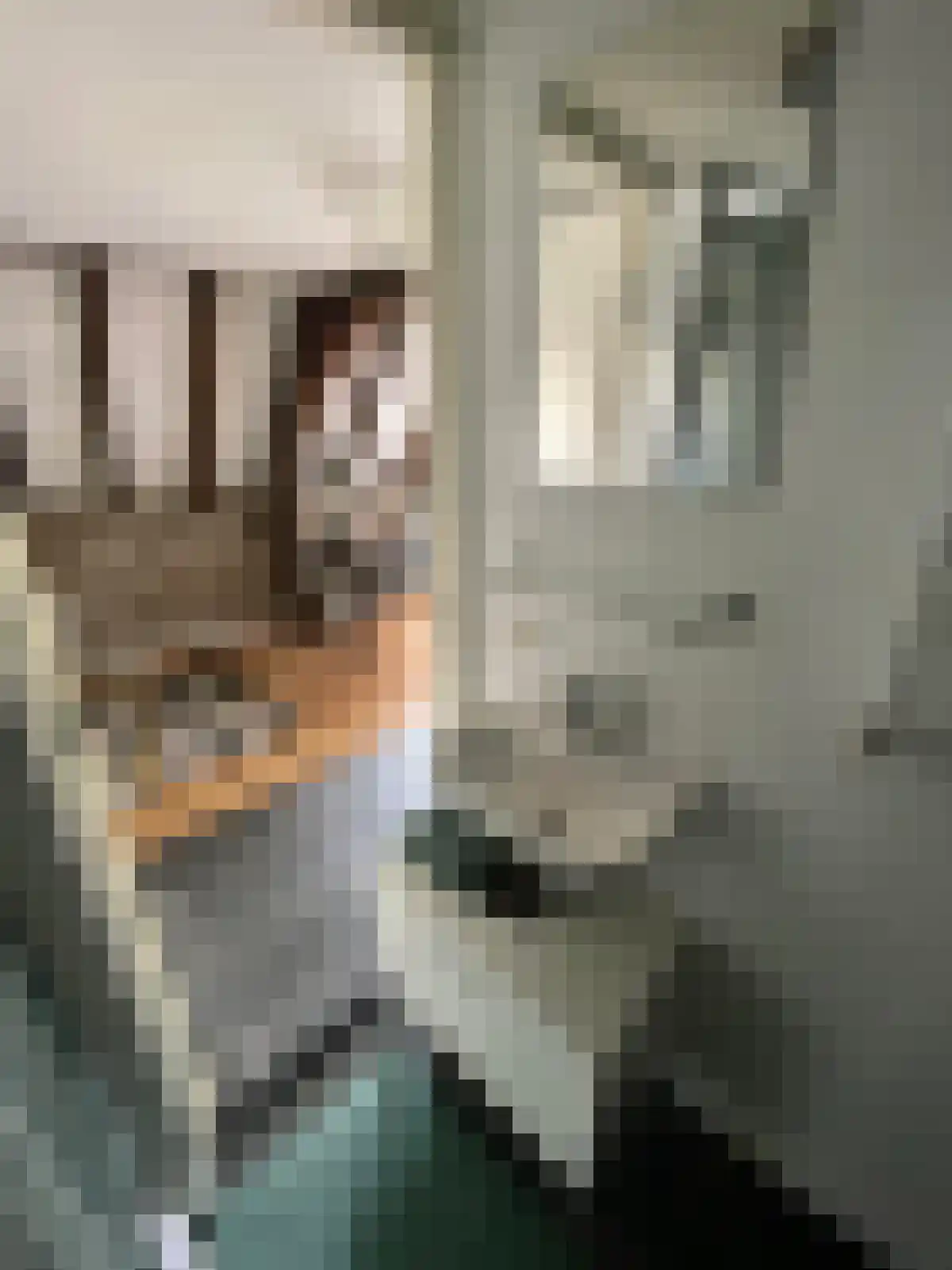 Keizer Karelplein 19 Maastricht thumbnail 6