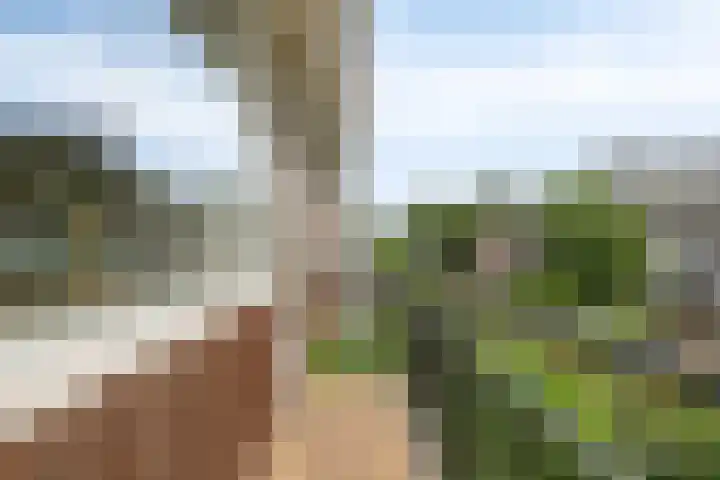 Keizer Karelweg 114 Amstelveen thumbnail 13