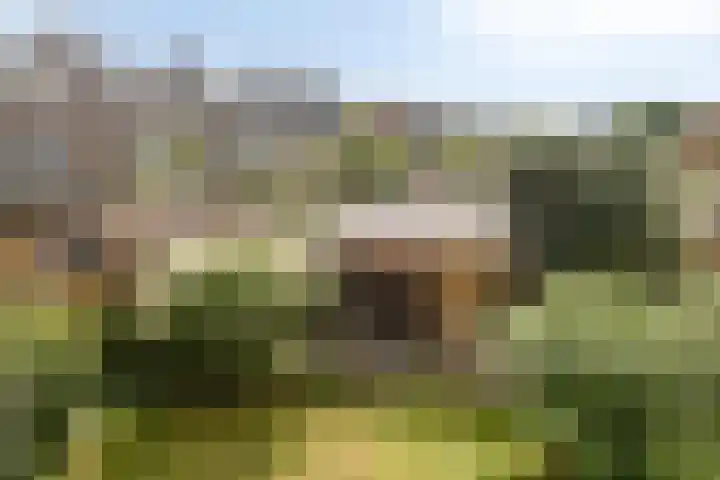 Keizer Karelweg 114 Amstelveen thumbnail 14