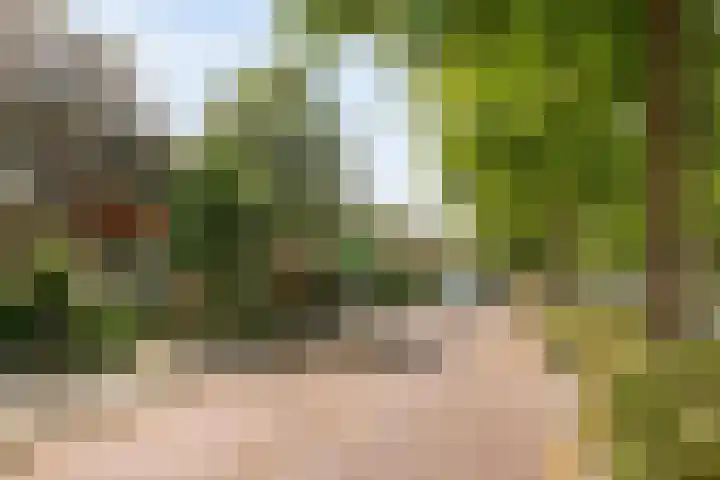 Keizer Karelweg 114 Amstelveen thumbnail 30