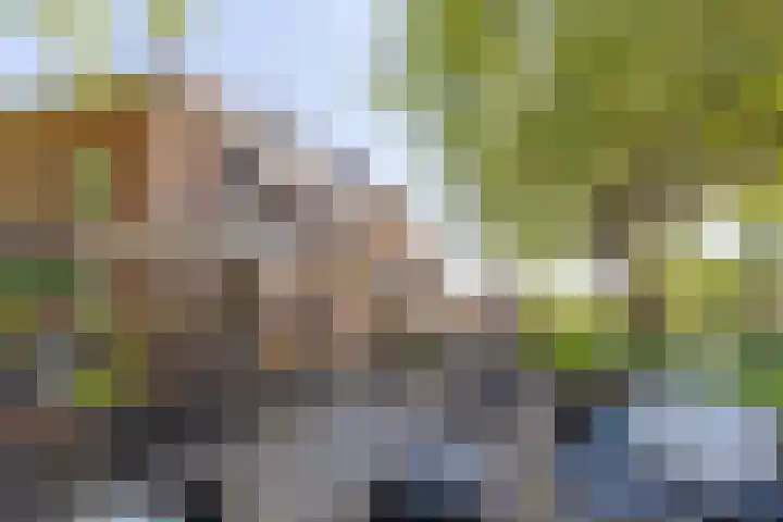 Keizer Karelweg 133 Amstelveen thumbnail 30