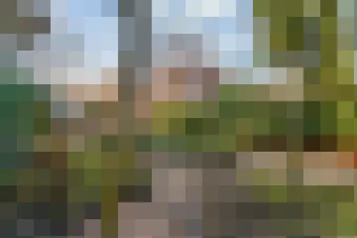 Keizer Karelweg 134 Amstelveen thumbnail 42