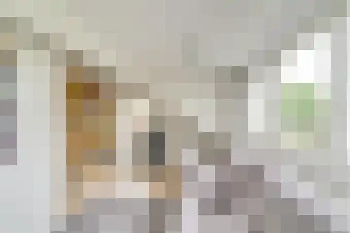 Keizer Karelweg 235 Amstelveen thumbnail 25