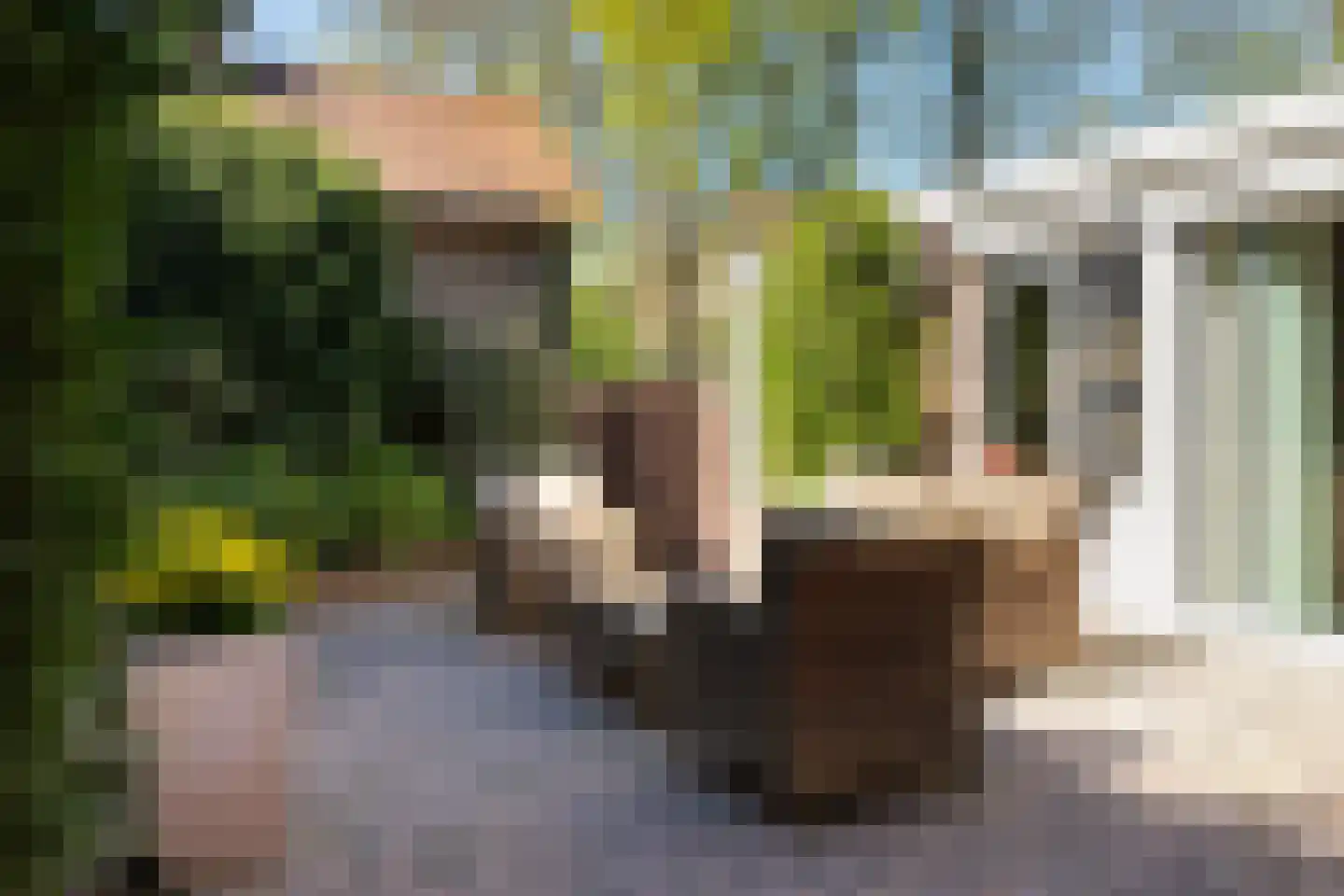 Keizer Karelweg 237 Amstelveen thumbnail 65