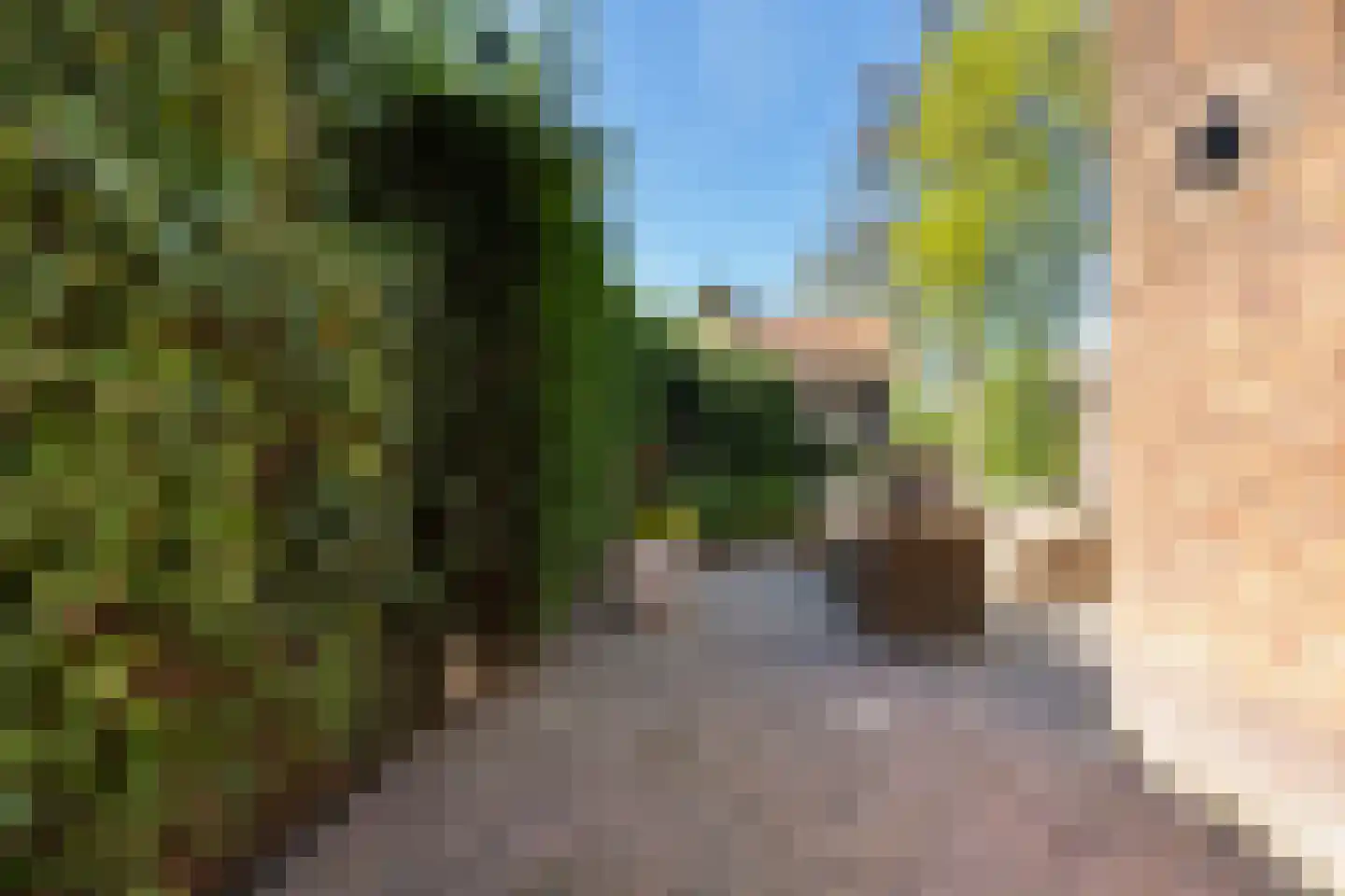 Keizer Karelweg 237 Amstelveen thumbnail 66
