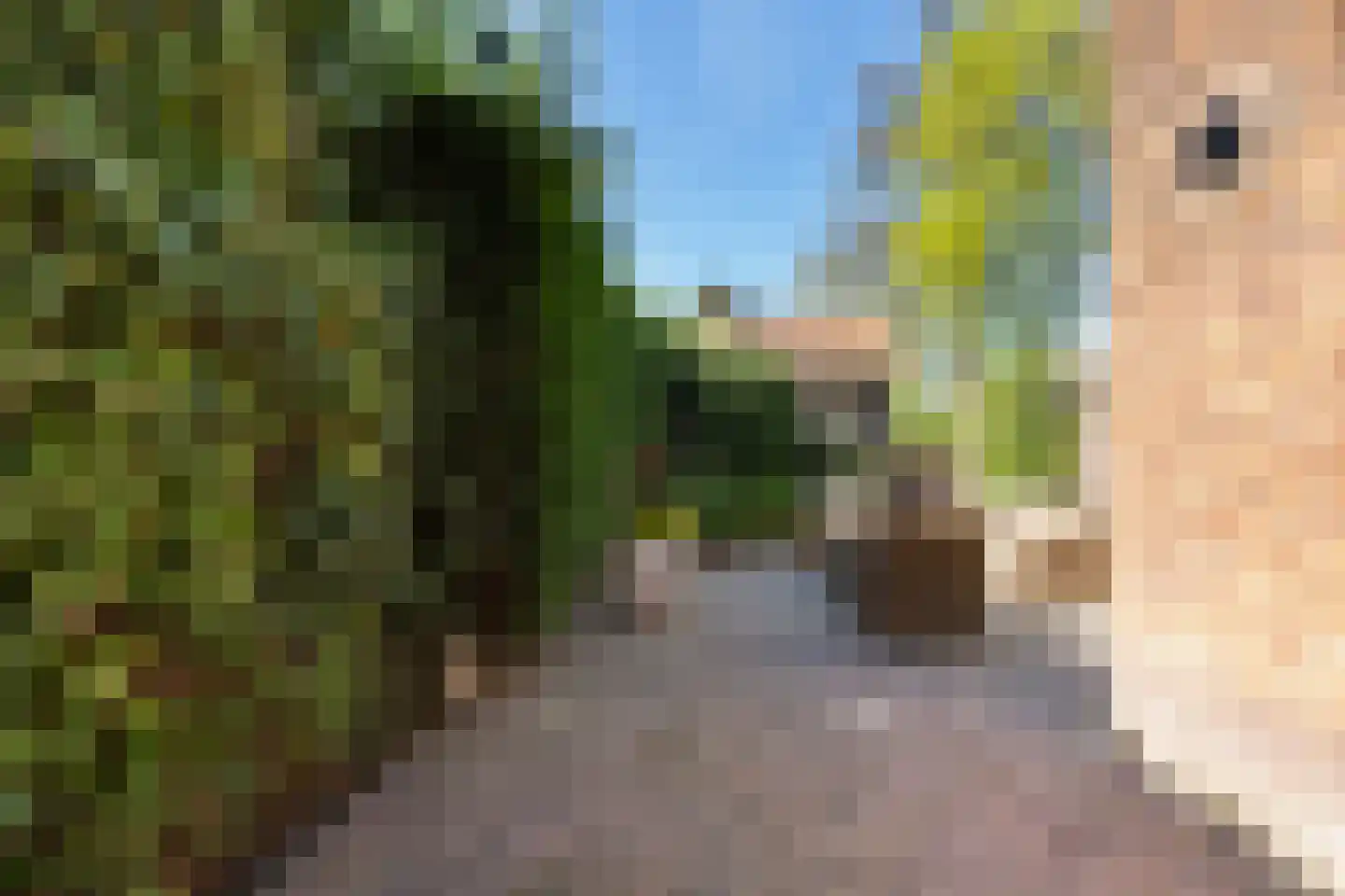 Keizer Karelweg 237 Amstelveen thumbnail 66