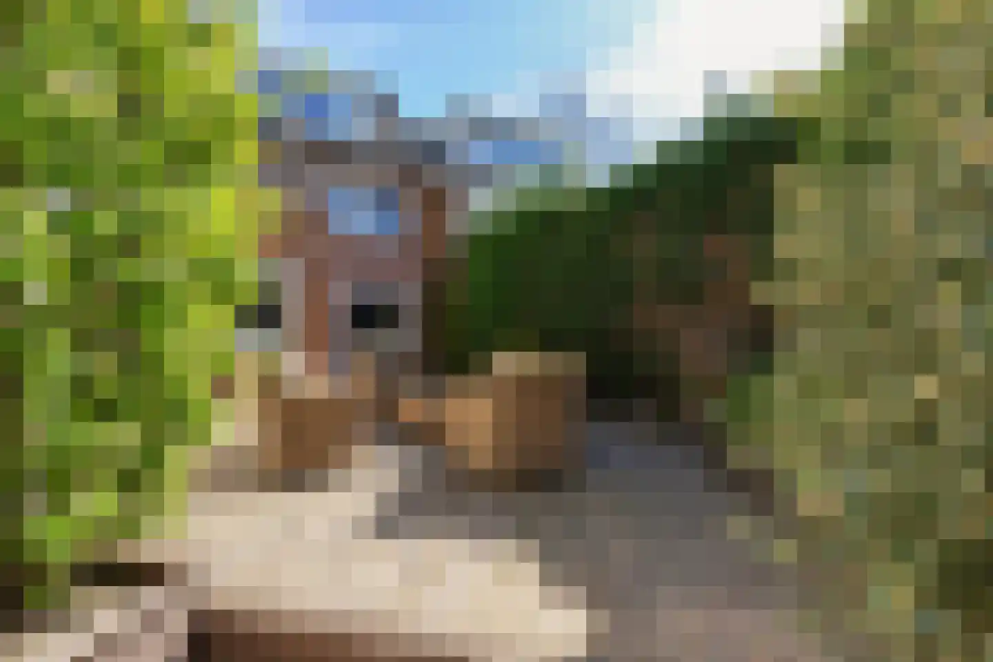 Keizer Karelweg 237 Amstelveen thumbnail 69