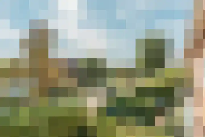 Keizer Karelweg 333 Amstelveen thumbnail 16