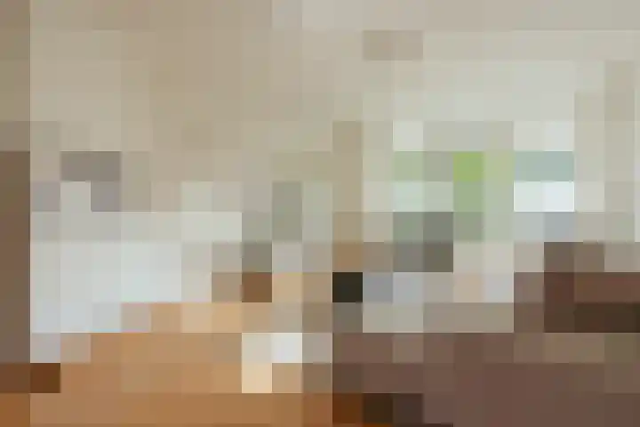 Keizer Karelweg 333 Amstelveen thumbnail 4