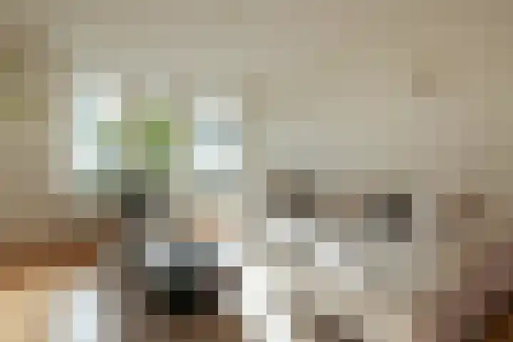 Keizer Karelweg 333 Amstelveen thumbnail 5