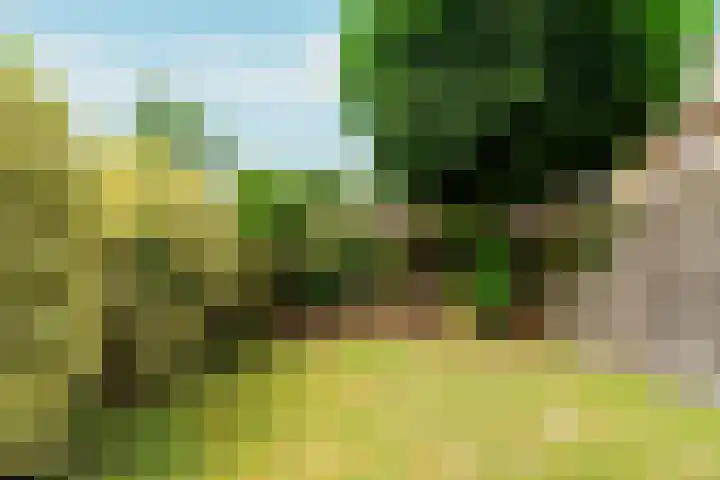 Keizer Karelweg 379 Amstelveen thumbnail 16