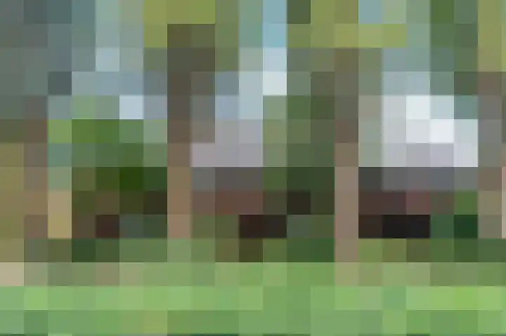 Keizer Karelweg 379 Amstelveen thumbnail 45