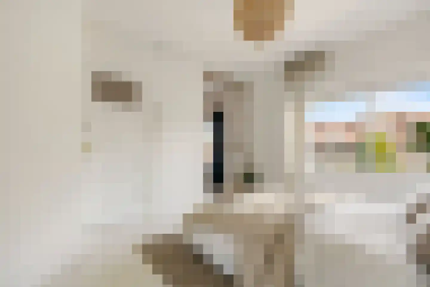 Keizer Karelweg 426 Amstelveen thumbnail 16
