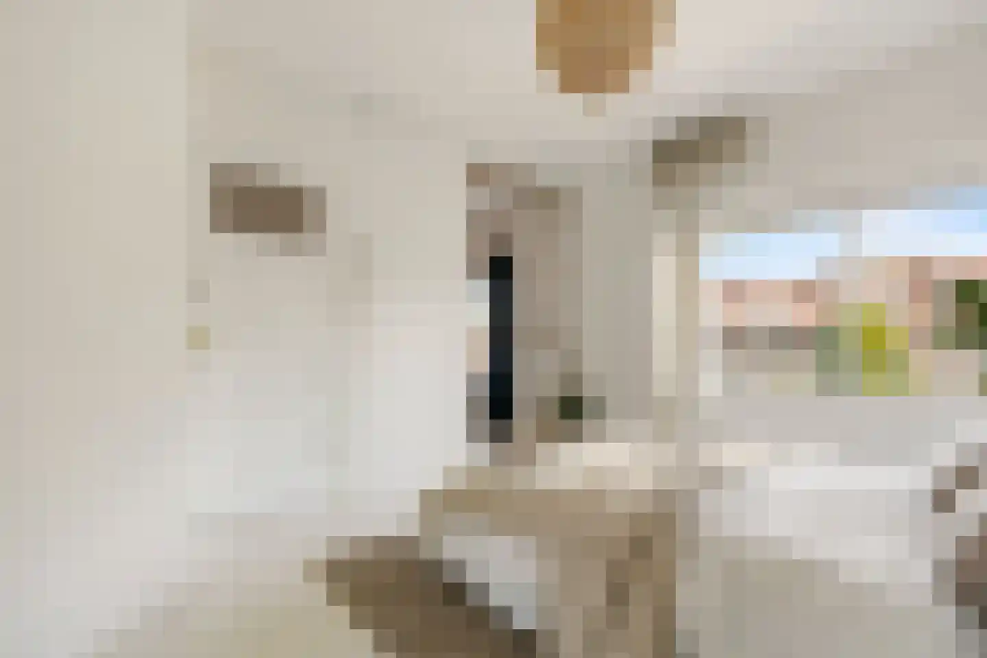 Keizer Karelweg 426 Amstelveen thumbnail 21