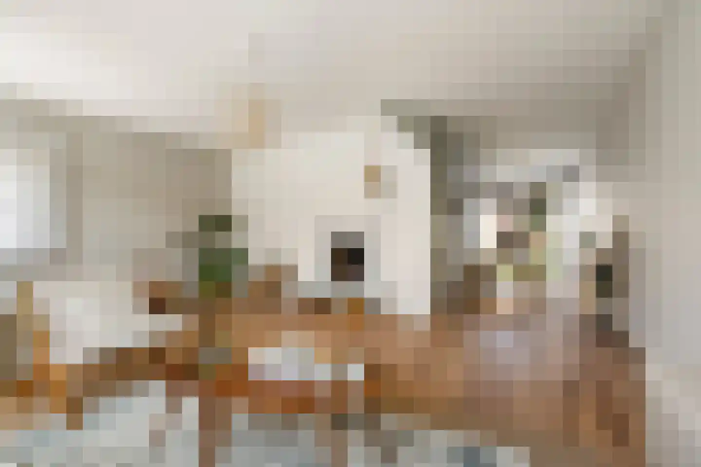 Keizer Karelweg 426 Amstelveen thumbnail 8