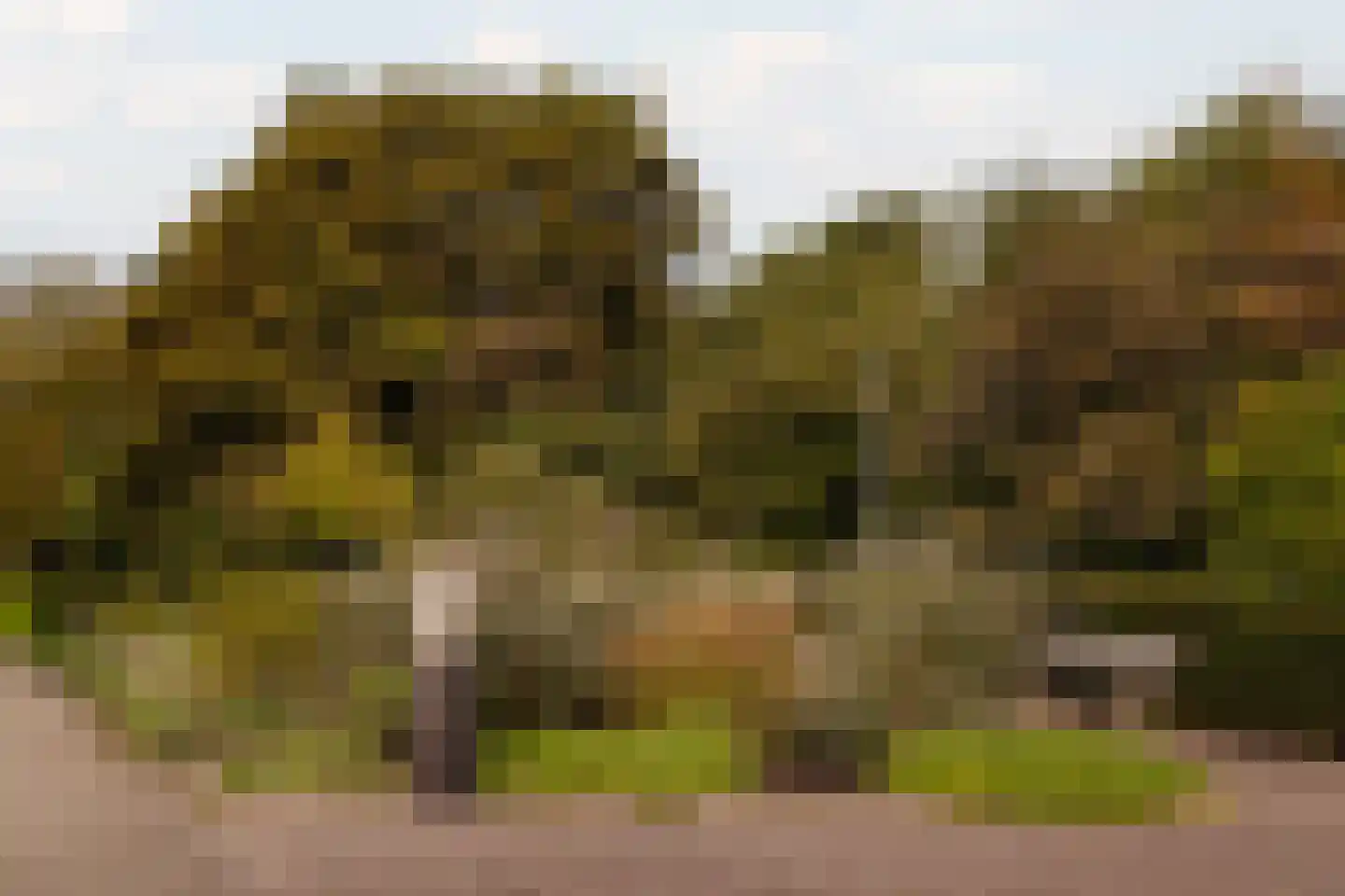 Keizer Karelweg 448 Amstelveen thumbnail 36
