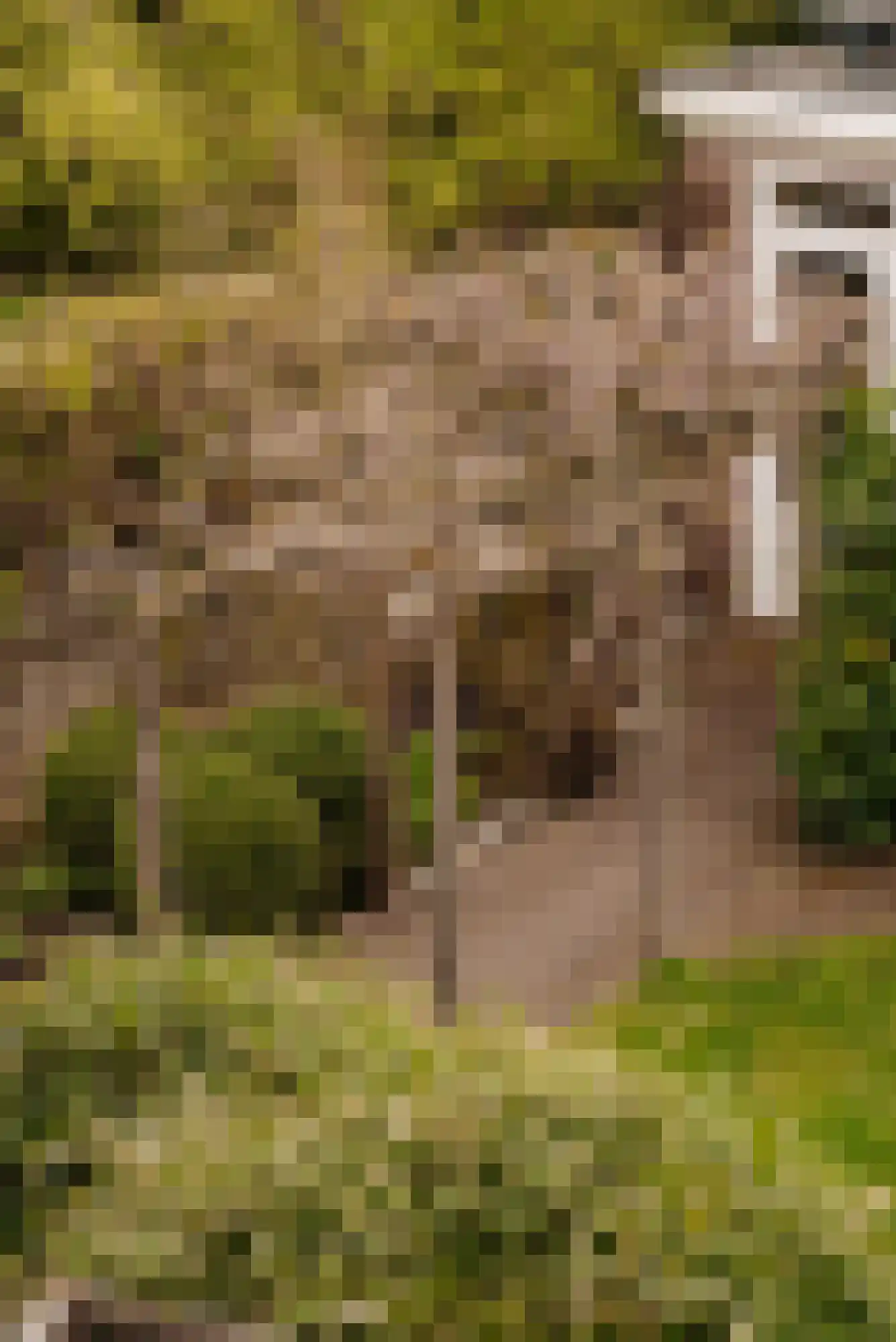 Keizer Karelweg 472 Amstelveen thumbnail 33
