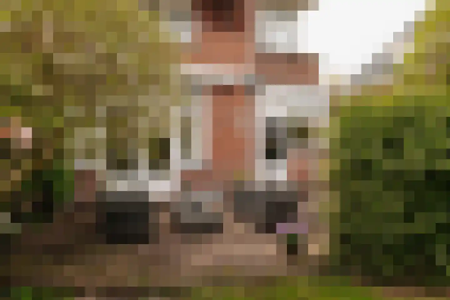 Keizer Karelweg 472 Amstelveen thumbnail 41