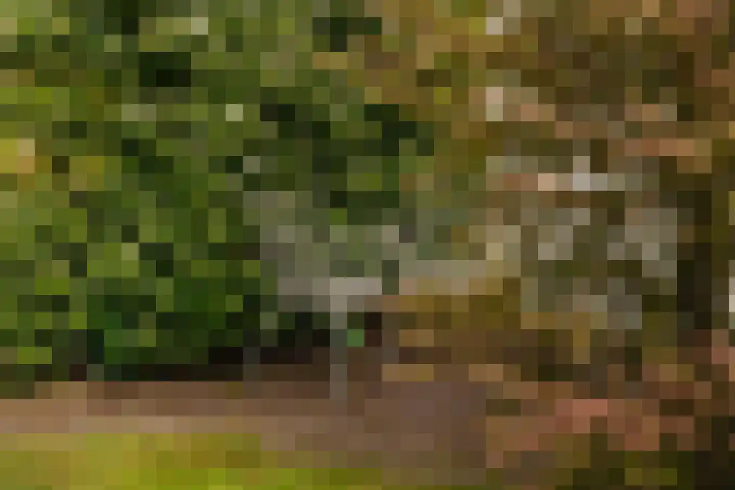 Keizer Karelweg 472 Amstelveen thumbnail 43