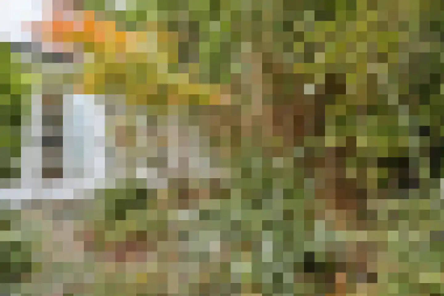 Keizer Karelweg 53 Amstelveen thumbnail 9