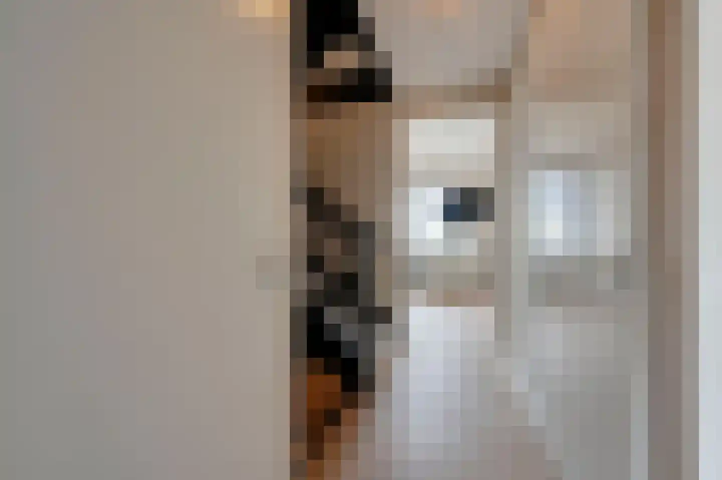 Keizer Maximiliaanlaan 26 Den Haag thumbnail 44